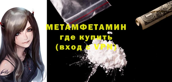 прущие грибы Балабаново