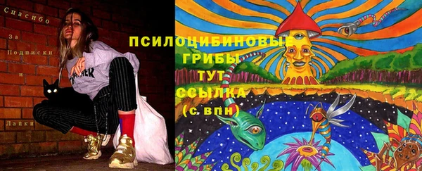 прущие грибы Балабаново