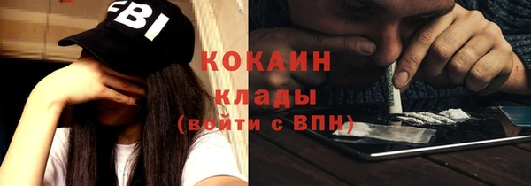 прущие грибы Балабаново