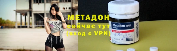прущие грибы Балабаново
