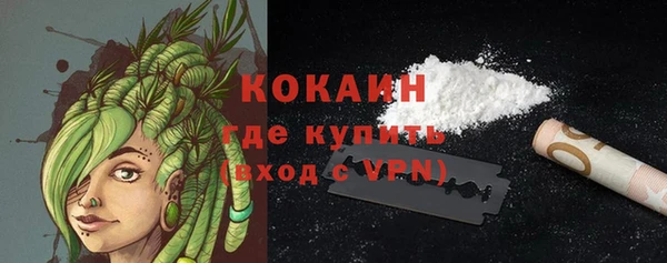прущие грибы Балабаново
